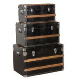 Storage Trunks